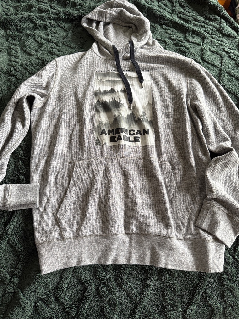 American Eagle Outfitters Light Gray Pullover Hoodie with Forest Graphic